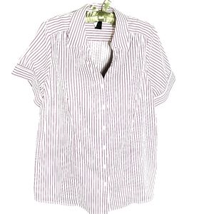 Lane Bryant, fushia striped, blouse, Size 22